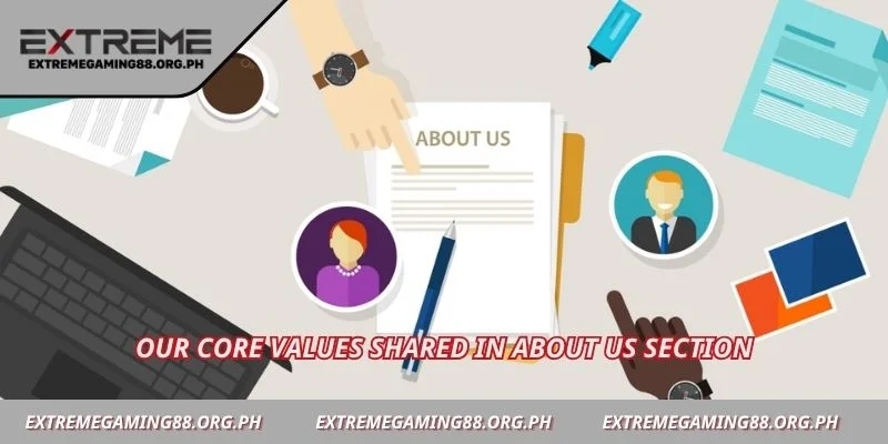 Our core values shared in about us section
