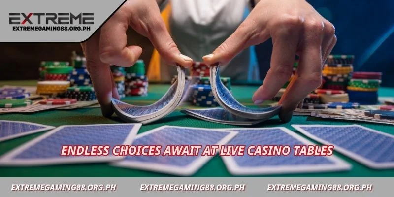 Endless choices await at live casino tables