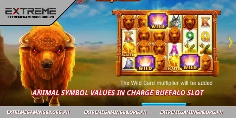 Animal symbol values in Charge Buffalo slot