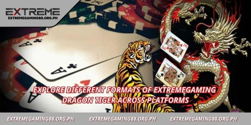 Explore different formats of Extremegaming Dragon tiger across platforms