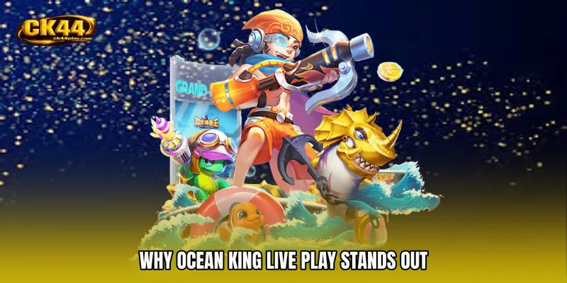 Why Ocean King live play Stands Out